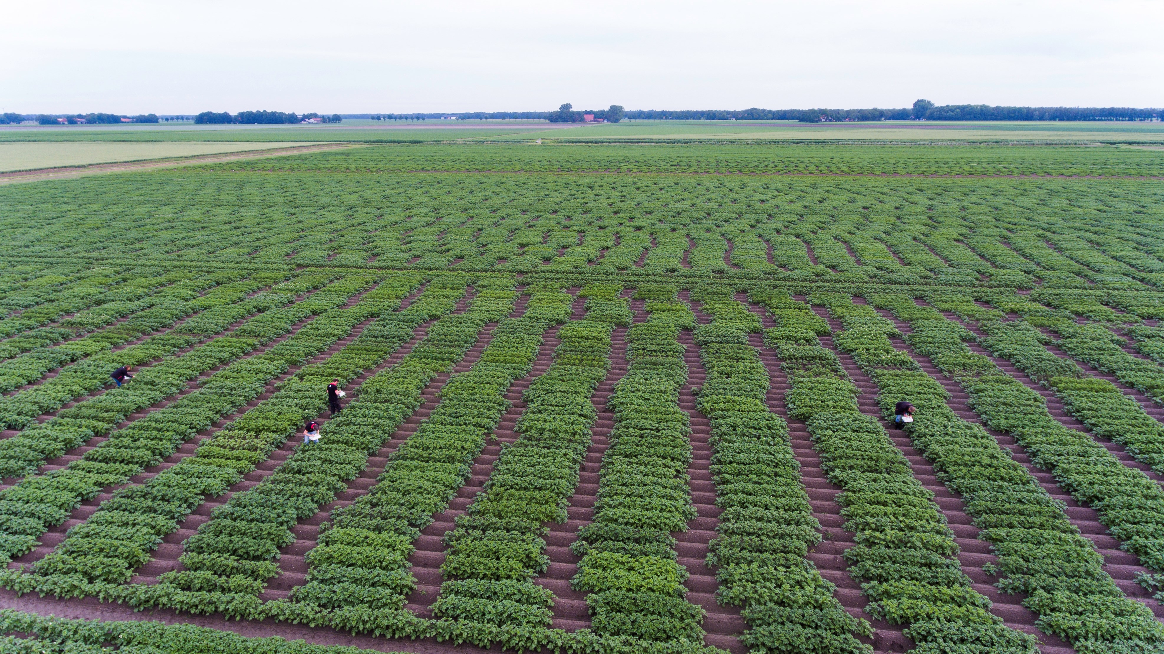 ©Klaas Eissens Afgrico RS 14 06 19 4