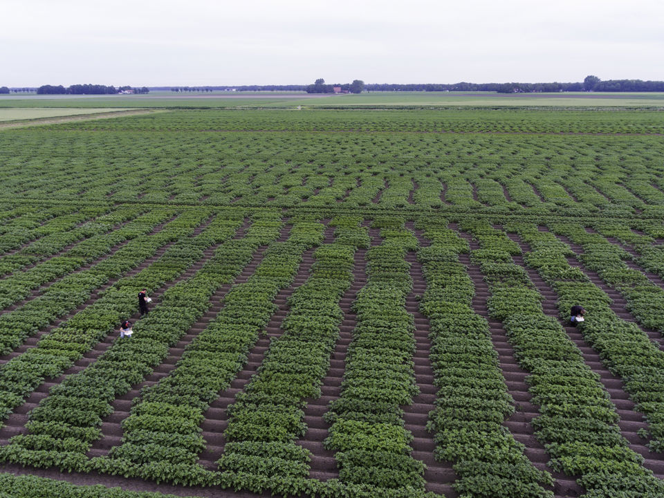 ©Klaas Eissens Afgrico RS 14 06 19 4