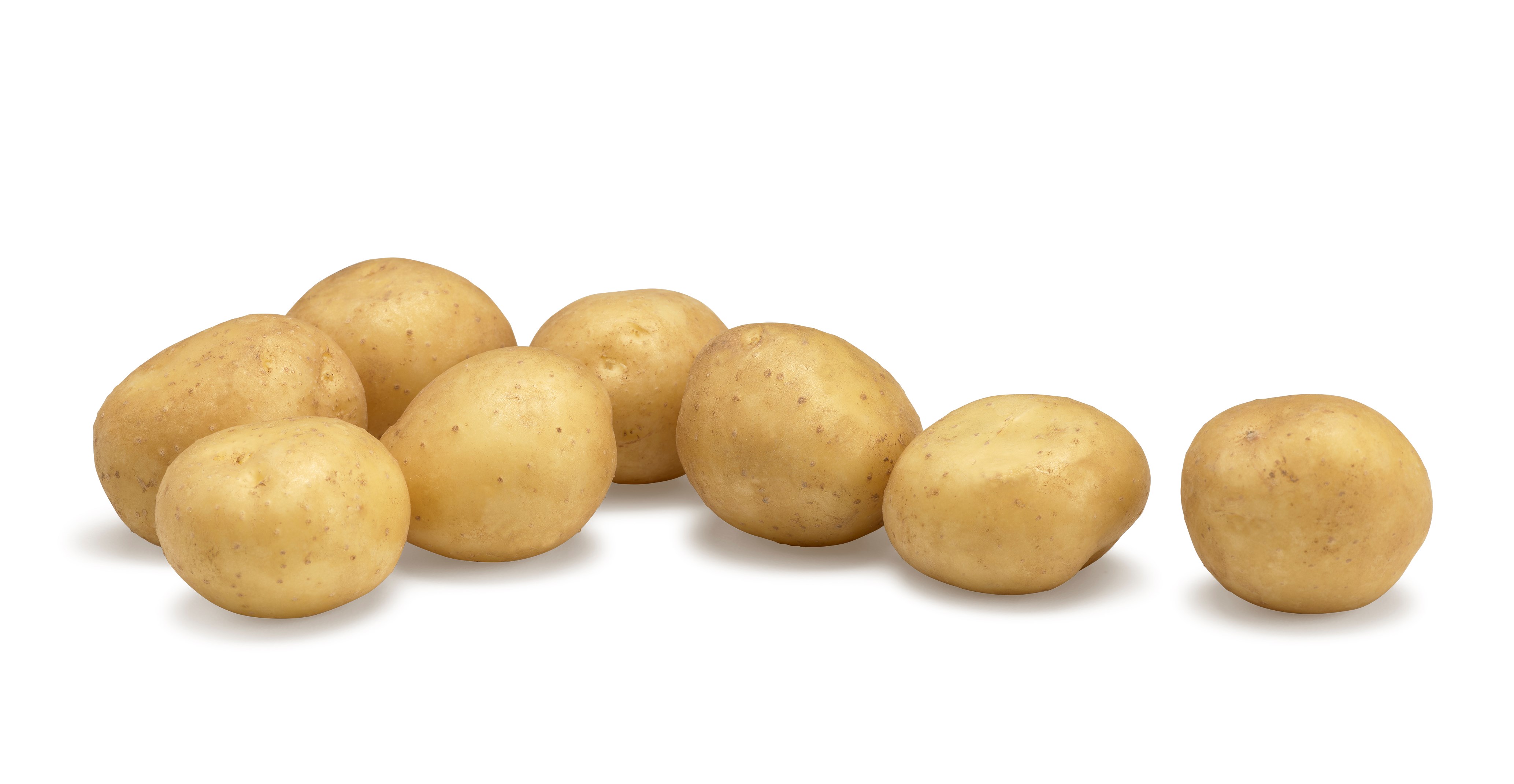 Jacky Kriel GRB®Agrico20