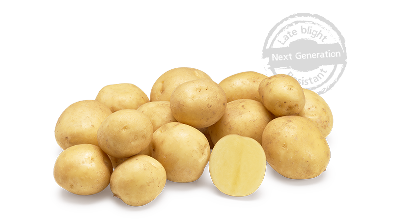 Jacky GRB CL©Agrico20 Met Stempel800x448